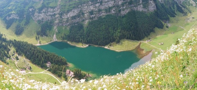 der Seealpsee